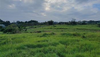 4051 Ahuanani Pl  Hilo, Hi vacant land for sale - photo 5 of 15