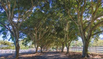 41-569  Makakalo St Waimanalo, Kailua home - photo 4 of 25