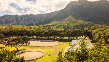 41-569  Makakalo St Waimanalo, Kailua home - photo 5 of 25