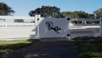 41-569  Makakalo St Waimanalo, Kailua home - photo 6 of 25