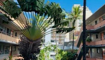 Hawaiian King condo # 513, Honolulu, Hawaii - photo 1 of 16