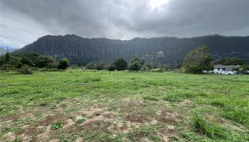 41-820 Kakaina St  Waimanalo, Hi vacant land for sale - photo 3 of 11