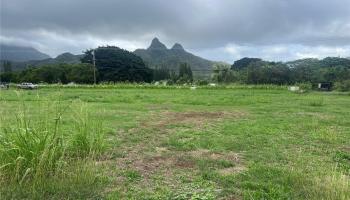 41-820 Kakaina St  Waimanalo, Hi vacant land for sale - photo 4 of 11