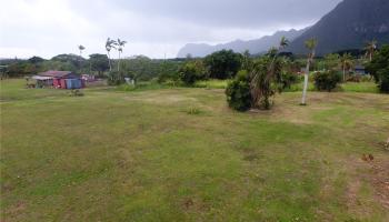 41-820 Kakaina Street  Waimanalo, Hi vacant land for sale - photo 4 of 17