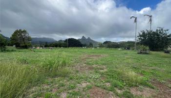 41-820 Kakaina St  Waimanalo, Hi vacant land for sale - photo 5 of 11