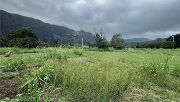 41-820 Kakaina St  Waimanalo, Hi vacant land for sale - photo 6 of 11