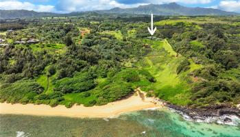 4228-L  Waiakalua Street Hanalei, Kauai home - photo 2 of 25