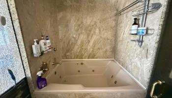 425 South Street Honolulu - Rental - photo 6 of 24