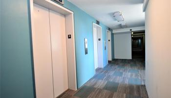 430 Keoniana St Honolulu - Rental - photo 4 of 20