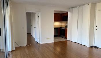 430 Keoniana St Honolulu - Rental - photo 4 of 15