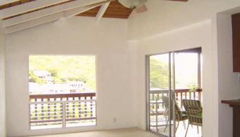 435 Anolani St Niu Valley, Diamond Head home - photo 3 of 10 435 Anolani St Niu Valley, Diamond Head home - photo 3 of 10