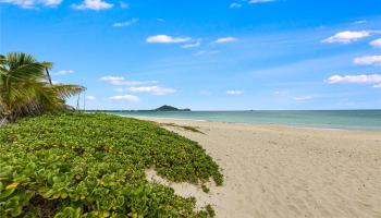 435  Kalaheo Ave Kalama Tract, Kailua home - photo 3 of 25