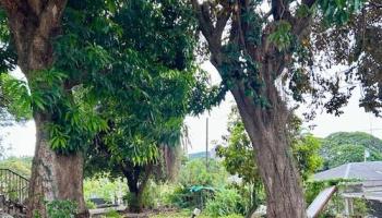 441  Kanani Place Nuuanu-lower, Honolulu home - photo 4 of 6