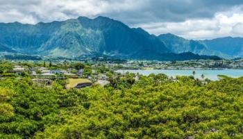 Healani Gardens condo # 521, Kaneohe, Hawaii - photo 1 of 16