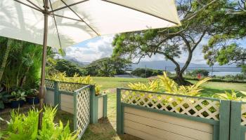 Yacht Club Terrace condo # 2603, Kaneohe, Hawaii - photo 2 of 25
