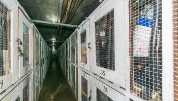 Rosalei Ltd condo # 1002, Honolulu, Hawaii - photo 3 of 19