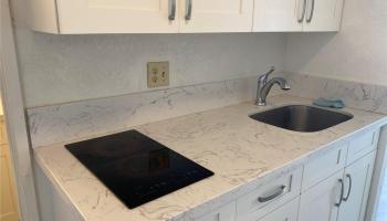 445 Seaside Ave Honolulu - Rental - photo 3 of 20