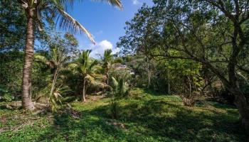 44-684 Iris Place  Kaneohe, Hi vacant land for sale - photo 6 of 20