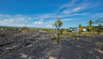 447 N/A Street  Pahoa, Hi vacant land for sale - photo 5 of 21