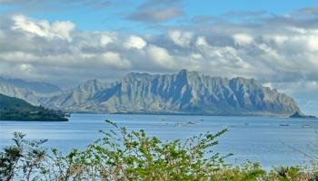 46-065 Konohiki Street Kaneohe - Rental - photo 4 of 23