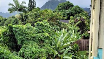 Nani Koolau condo # A206, Kaneohe, Hawaii - photo 1 of 1