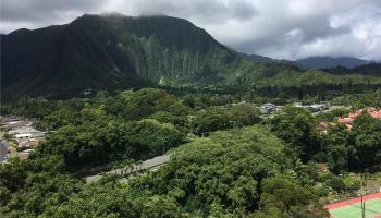 46-283 Kahuhipa St Kaneohe - Rental - photo 1 of 24