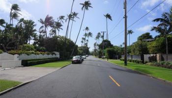 4631-A Kahala Ave  Honolulu, Hi vacant land for sale - photo 3 of 16