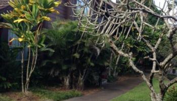 46-320 Haiku Rd townhouse # 21A, Kaneohe, Hawaii - photo 4 of 6