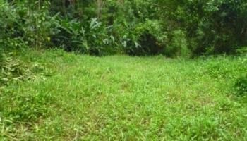 47-113 Okana Rd Kaneohe, Hi 96744 vacant land - photo 2 of 10 47-113 Okana Rd Kaneohe, Hi 96744 vacant land - photo 2 of 10