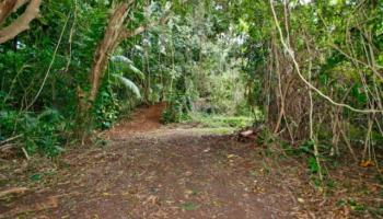 47-113 Okana Rd Kaneohe, Hi 96744 vacant land - photo 5 of 10