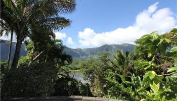 47-121 Uakoko Pl Kaneohe - Rental - photo 1 of 11 47-121 Uakoko Pl Kaneohe - Rental - photo 1 of 11