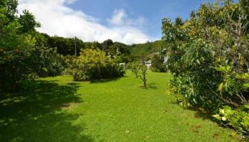 47-174 Pulama Rd Kaalaea, Kaneohe home - photo 5 of 21