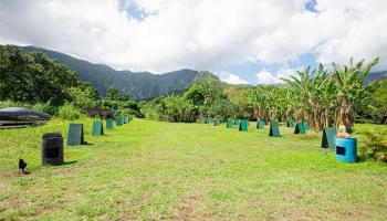 47-254 Ahaolelo Road  Kaneohe, Hi vacant land for sale - photo 3 of 14