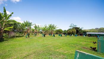 47-254 Ahaolelo Rd  Kaneohe, Hi vacant land for sale - photo 6 of 14