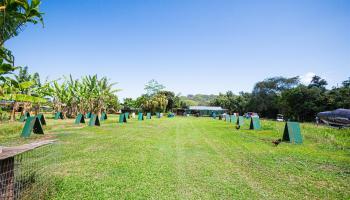 47-254 Ahaolelo Rd  Kaneohe, Hi vacant land for sale - photo 1 of 14