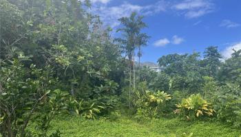 47-427  Ahuimanu Pl Ahuimanu Area, Kaneohe home - photo 4 of 5