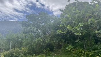 47-427  Ahuimanu Pl Ahuimanu Area, Kaneohe home - photo 5 of 5