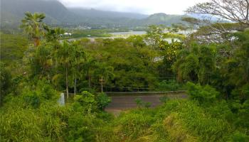 47-440 Kamehameha Hwy  Kaneohe, Hi vacant land for sale - photo 1 of 19