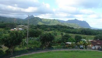 47-464 Mapele Rd Kaneohe, Hi 96744 vacant land - photo 3 of 12 47-464 Mapele Rd Kaneohe, Hi 96744 vacant land - photo 3 of 12