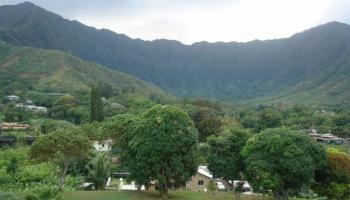 47-464 Mapele Rd Kaneohe, Hi 96744 vacant land - photo 4 of 12 47-464 Mapele Rd Kaneohe, Hi 96744 vacant land - photo 4 of 12