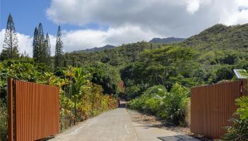 47-546 Mapele Pl A Kaneohe, Hi vacant land for sale - photo 5 of 5