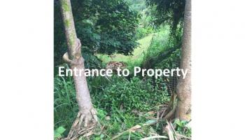 47-546-E Mapele Pl  Kaneohe, Hi vacant land for sale - photo 3 of 7