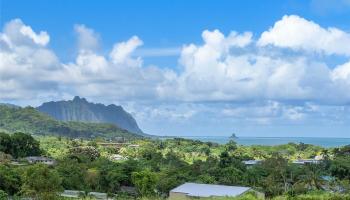 47-621 Mapele Rd  Kaneohe, Hi vacant land for sale - photo 5 of 19