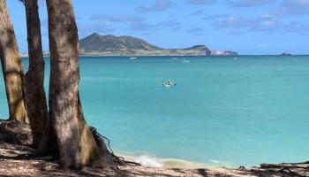 481  Kawailoa Road Kawailoa-kailua, Kailua home - photo 5 of 8