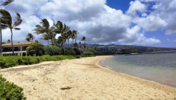 4825 Kahala Ave Kahala Area, Diamond Head home - photo 5 of 6