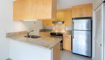 493 Mananai Pl Honolulu - Rental - photo 4 of 16