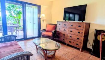 Ke Nani Kai condo # 103, Maunaloa, Hawaii - photo 3 of 25