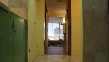 500 University Ave Honolulu - Rental - photo 2 of 25 500 University Ave Honolulu - Rental - photo 2 of 25