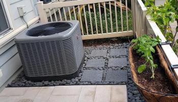 520 Lunalilo Home Road Honolulu - Rental - photo 3 of 18