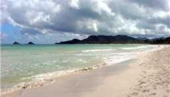 520-B N Kalaheo Ave Apt B Kailua - Rental - photo 2 of 10